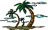 palmtrees.gif